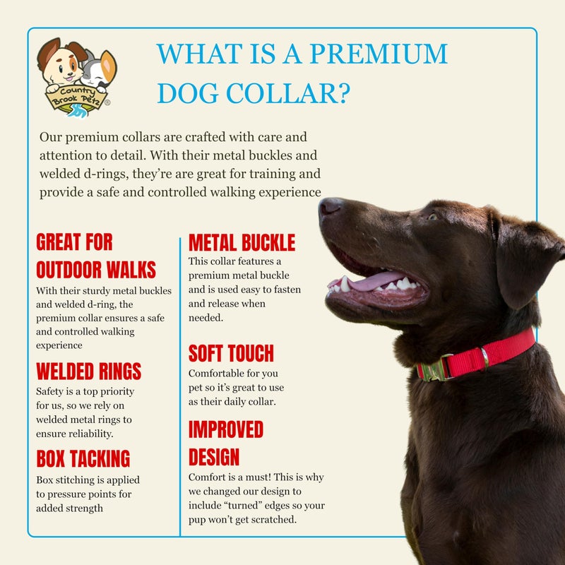 Country Brook Design Country Brook Petz - Premium Nylon Dog Collar with Metal Buckle for Small Medium Large Breeds - 10+ Warm Colors (Small, 3/4 Inch, Bright Red) - Image 5